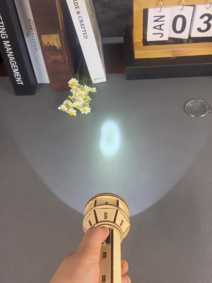 Wooden DIY Flashlight Puzzle K - Science Project Diy 评论和价格